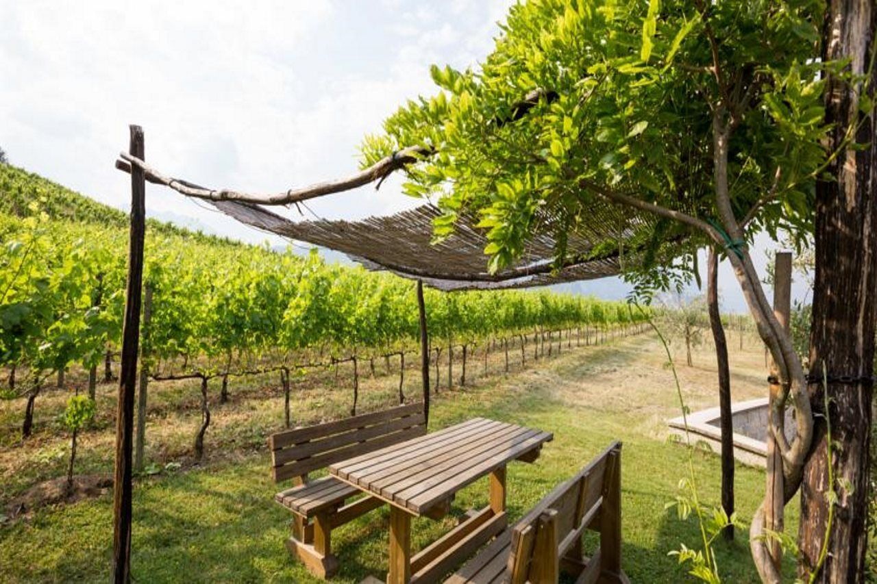 Residence La Vigna Arco Extérieur photo